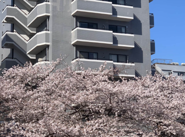 東京都目黒区のマンスリーマンション【247301】の写真12