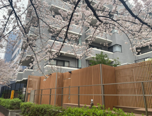 東京都目黒区のマンスリーマンション【247301】の写真13